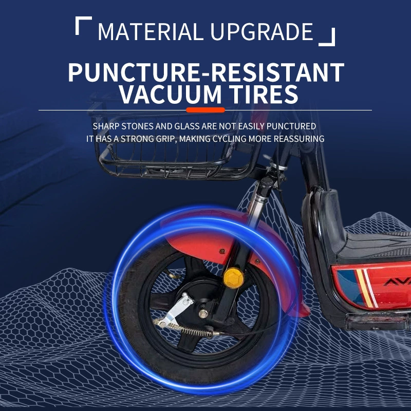AVATAR EXOTIC 2-Seater Light Electric Bike