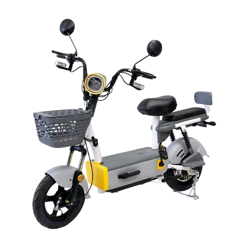 Flying Pigeon 2-Seater City Electric Bike