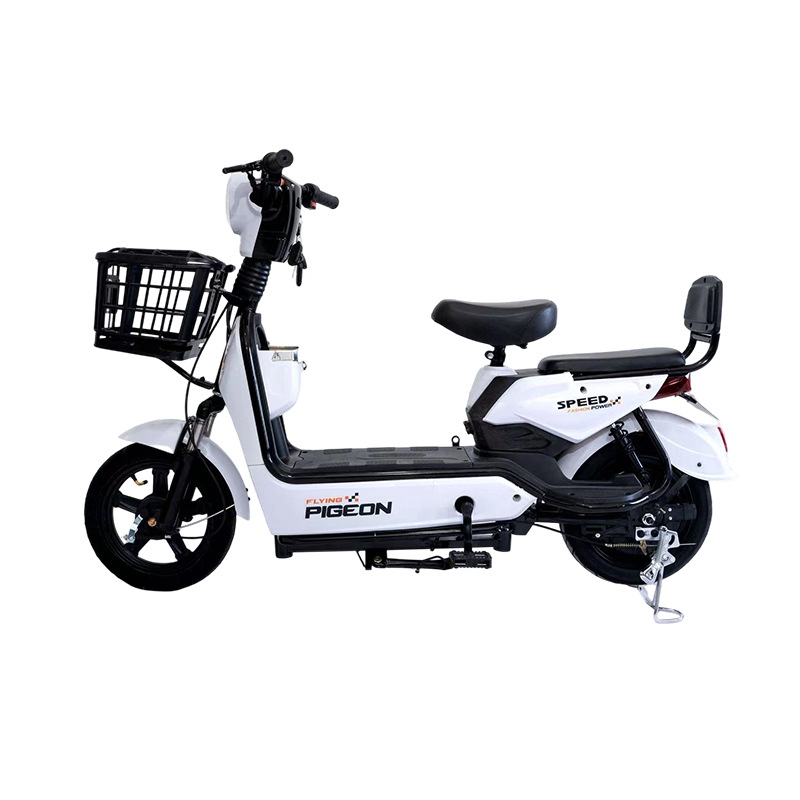 Flying Pigeon 2-Seater City Electric Bike